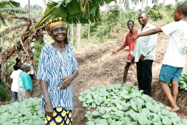 Haughville community garden class series in African farming
