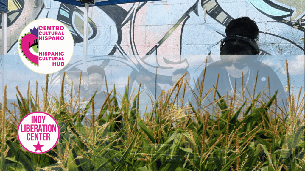 Corn Festival 2026: Vendor market and art workshops